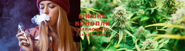 прущие крисы Аркадак