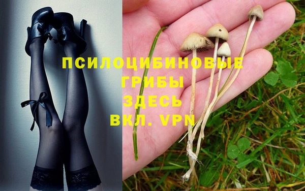 прущие крисы Аркадак