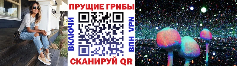 Псилоцибиновые грибы мицелий  купить  сайты  Борисоглебск 